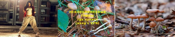 мескалин Михайловка