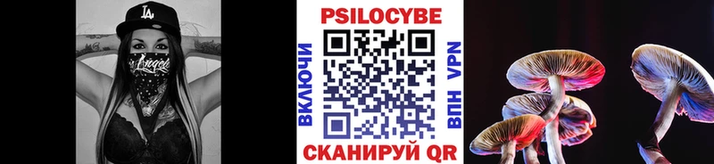 Купить где  Рыбное  Галлюциногенные грибы MAGIC MUSHROOMS 