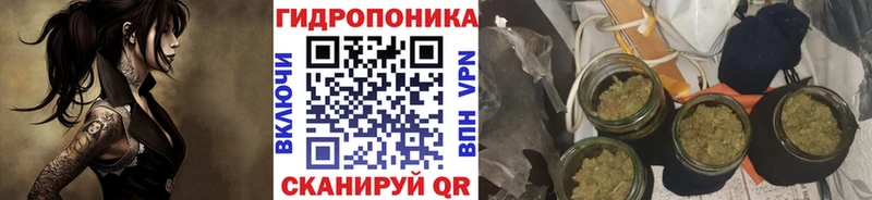 Купить закладки  Рыбное  Каннабис OG Kush 